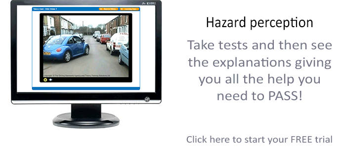 Hazard perception